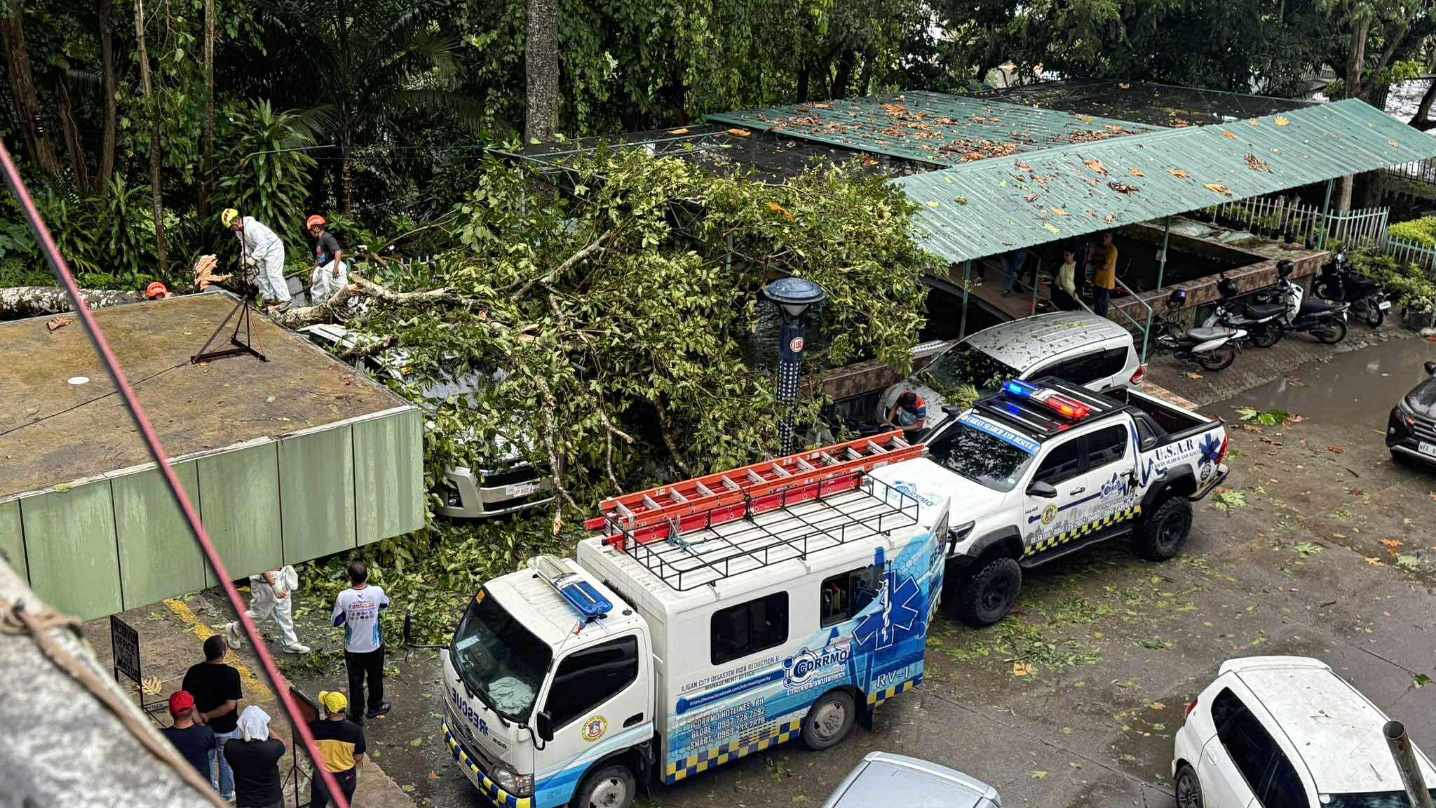 Two vehicles and one motorcycle are damaged after two (2) trees fell down, around 4:00pm today, July 18, due to strong winds. One of the vehicles is owned by the vice mayor of Iligan City, the other one is owned by the local government unit and the motorcycle is owned by an employee of the LGU.